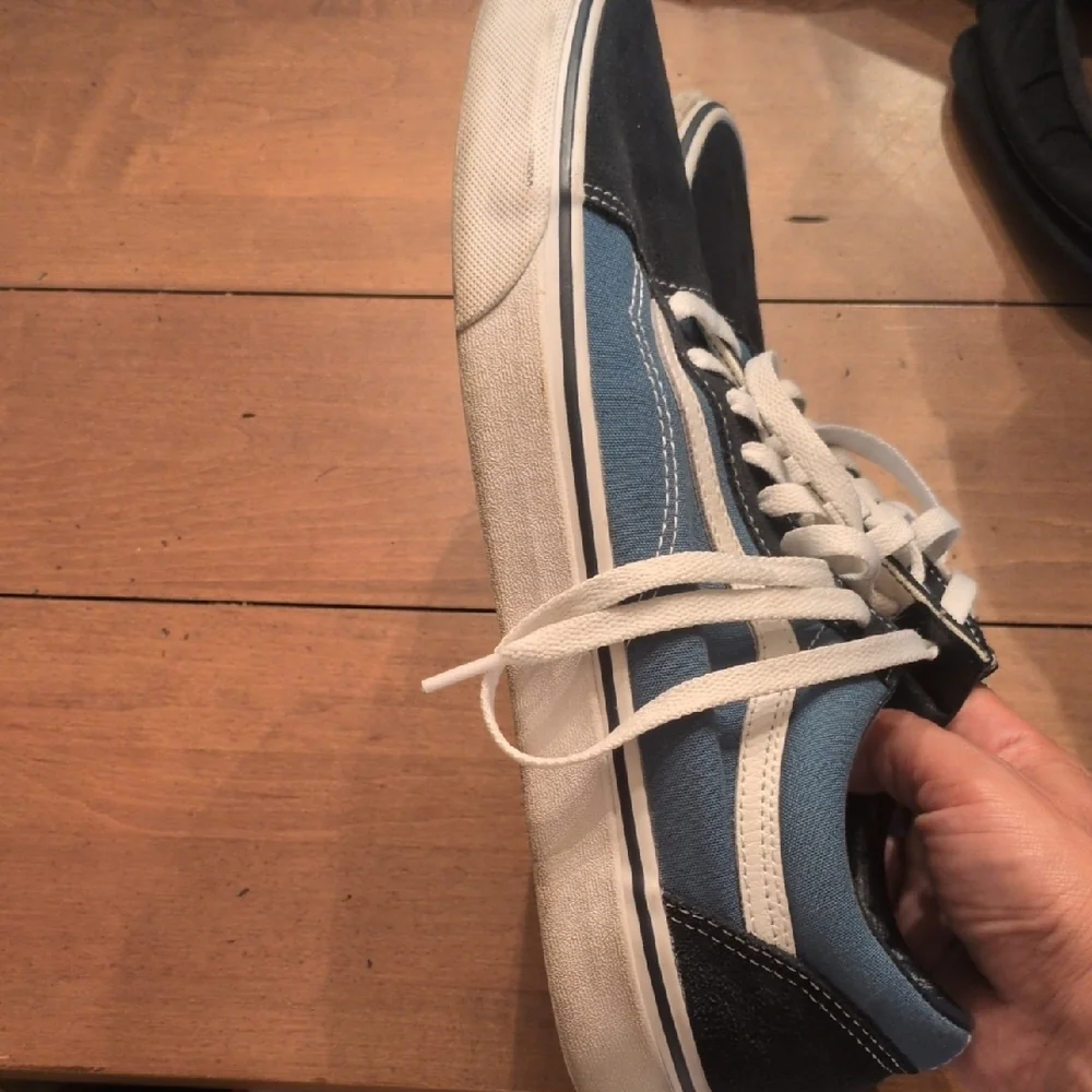 Vans Two-Tone Blue and Black Sneakers